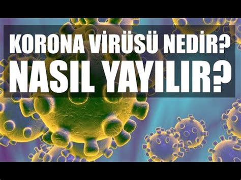 Dünyayı Kasıp Kavuran Corona Virüsü Hakkında Her Şey