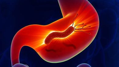 Helicobacter Pylori ve Tedavisi Hakkında Her Şey