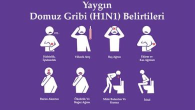 Domuz Gribi Nedir? Belirtileri Nelerdir?