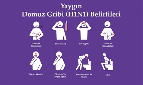 Domuz Gribi Nedir? Belirtileri Nelerdir?